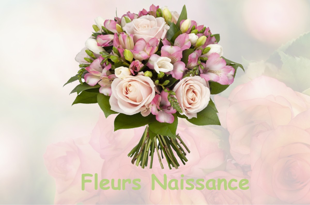 fleurs naissance CHARCE-SAINT-ELLIER-SUR-AUBANCE