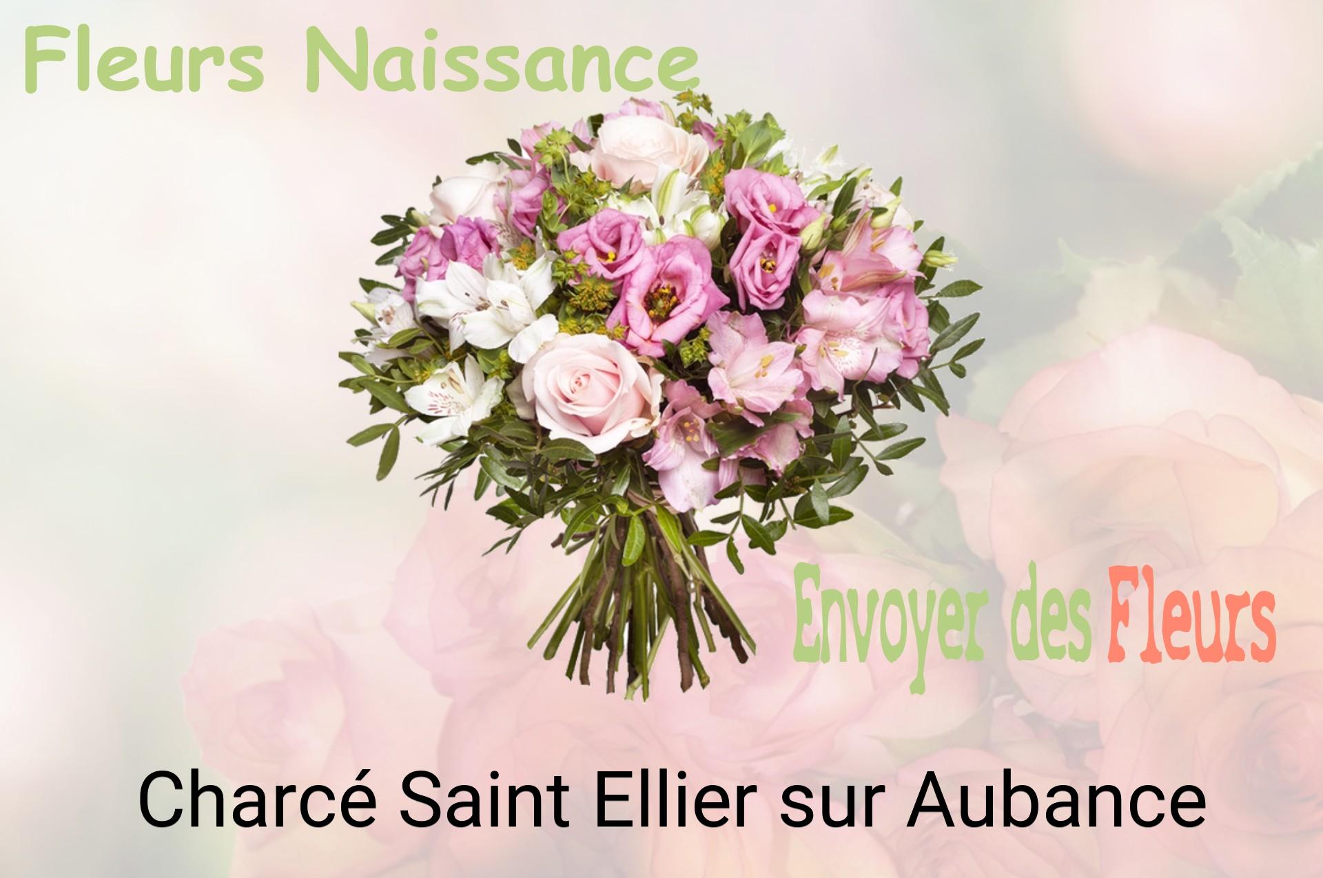 Bouquet de fleurs de naissance livré à Charcé-Saint-Ellier-sur-Aubance